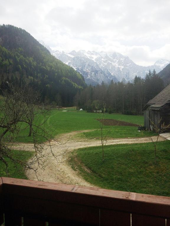 Farm Stay Juvanija Solčava 外观 照片