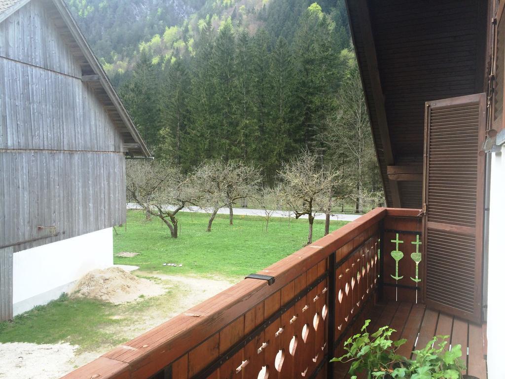 Farm Stay Juvanija Solčava 外观 照片