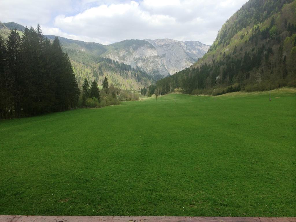 Farm Stay Juvanija Solčava 外观 照片