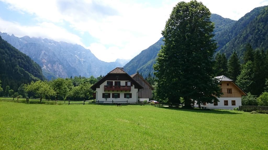 Farm Stay Juvanija Solčava 外观 照片