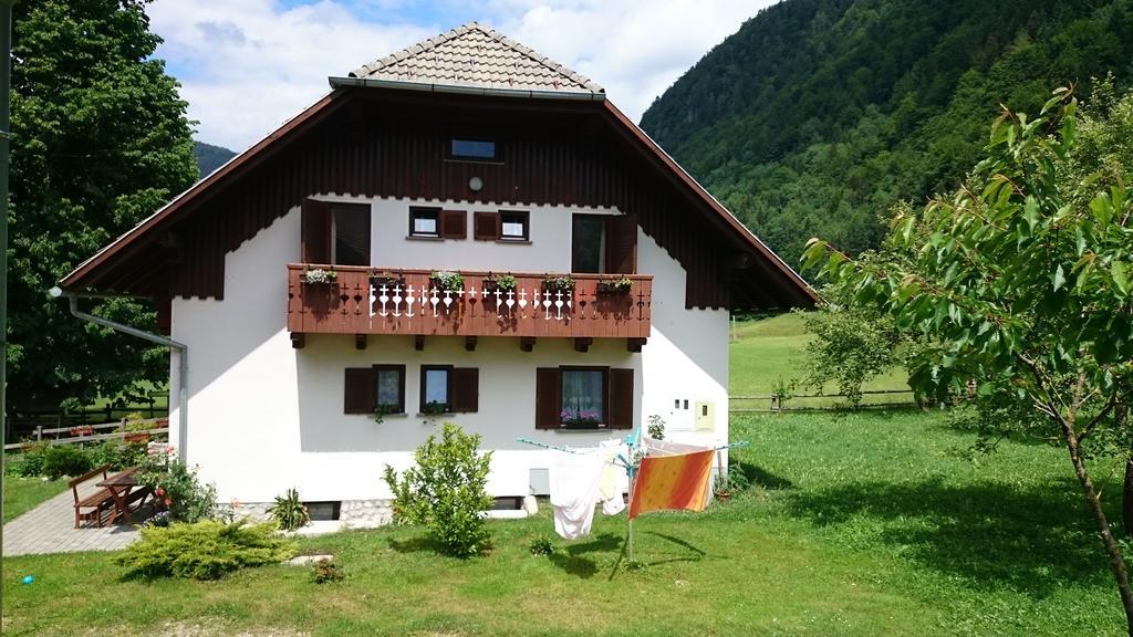 Farm Stay Juvanija Solčava 外观 照片